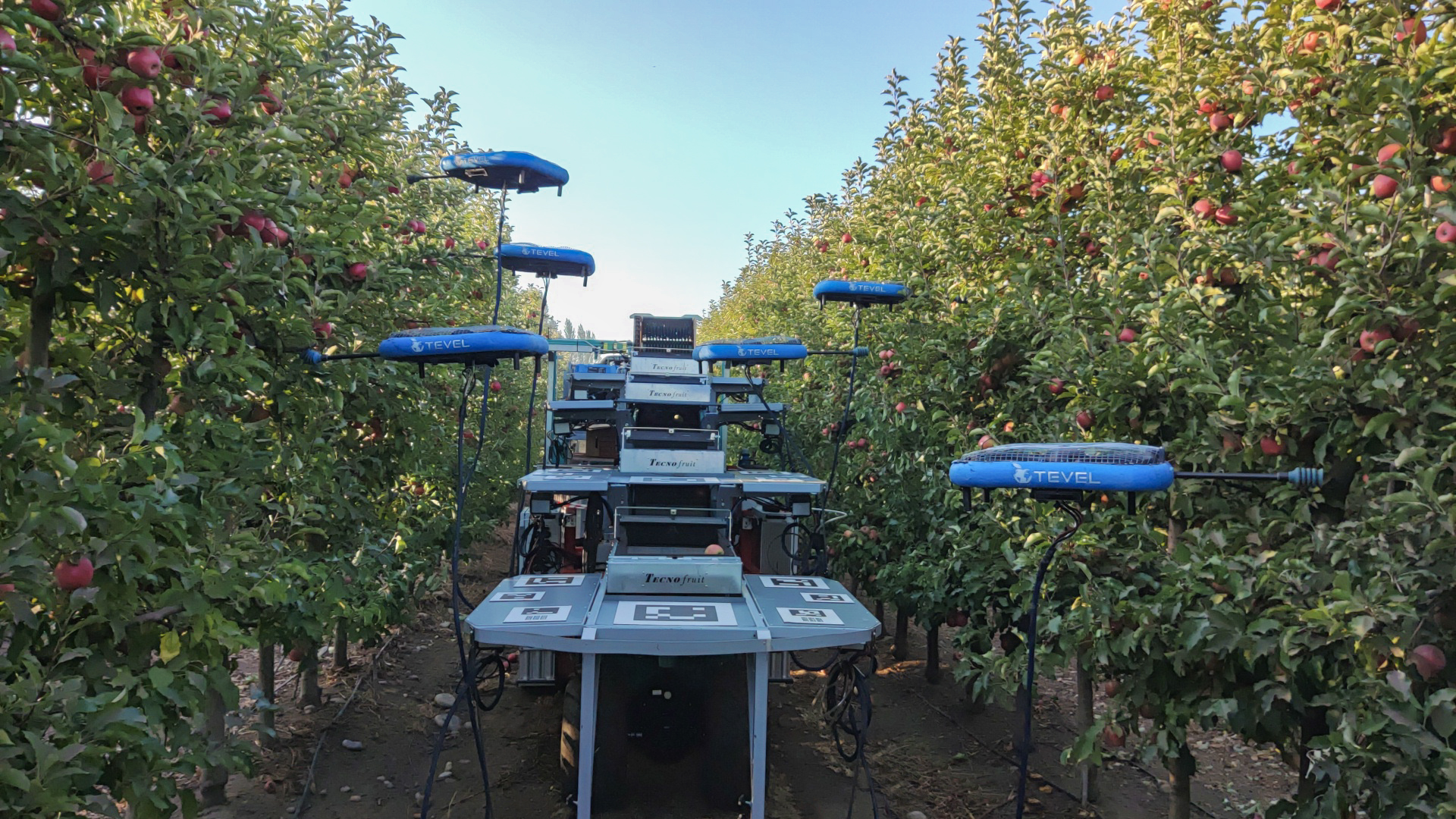 An AI/Drone apple-harvesting Robot